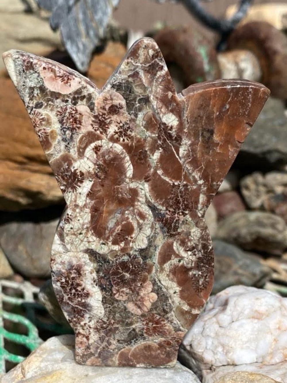 Rare Crocodile Jasper